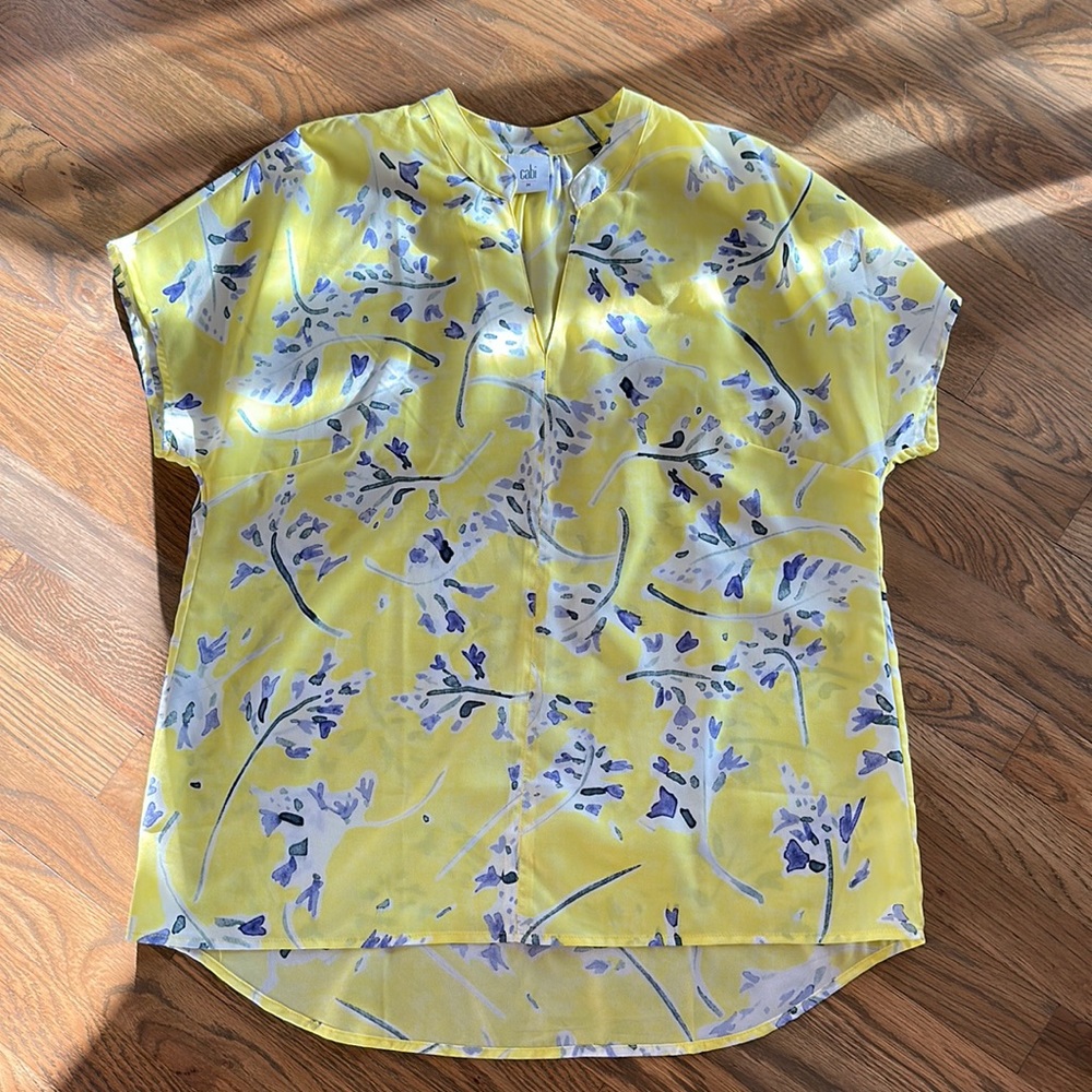 Cabi blouse size medium